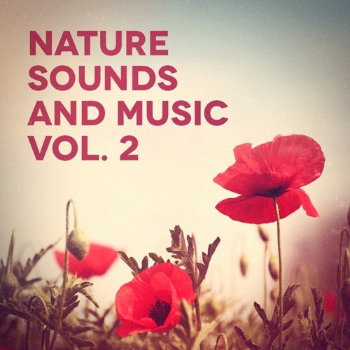 Sounds from a Grove Spring, Winds and the Blackbird