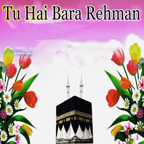 Tu Bakamal Hai