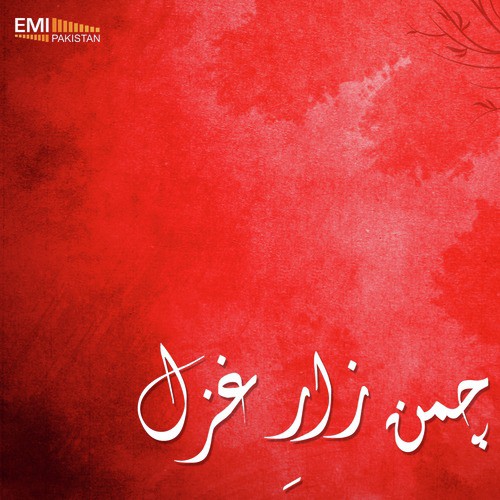 Shakh-e-Gul Jesa Sarapa Hai