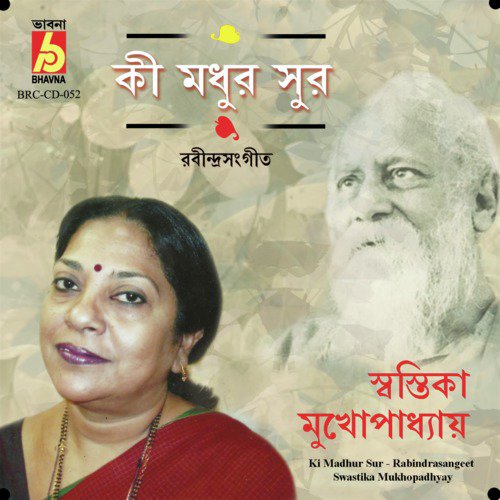Momo Dukher Shadhon