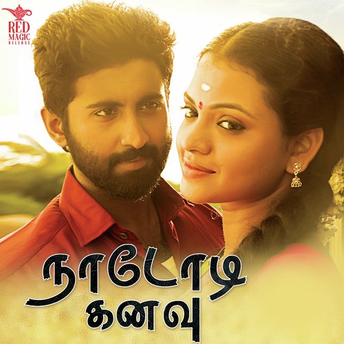 Adiye Pottapulla
