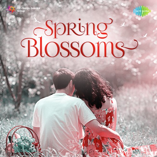 Dil Wil Pyar Wyar (From Shagird)