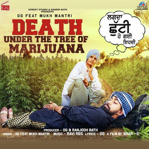 Death Under The Tree Of Marijuana